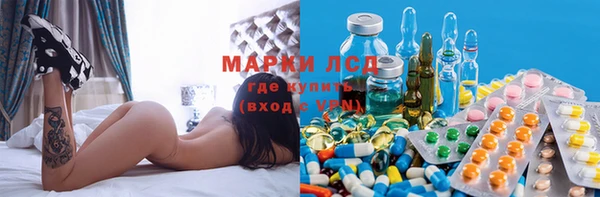 стаф Алексин