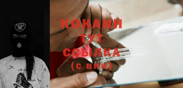 шишки Алексеевка