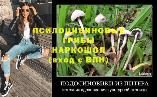 шишки Алексеевка