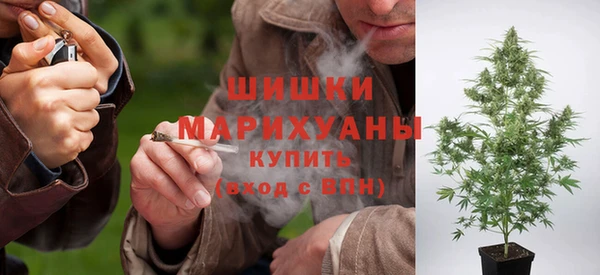 apvp Няндома