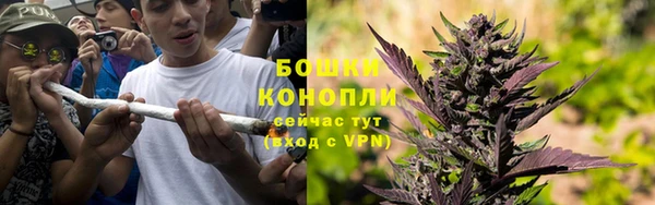 шишки Алексеевка
